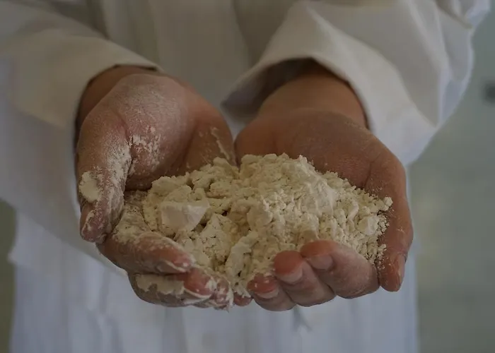 Fattoria Didattica Le Torte *